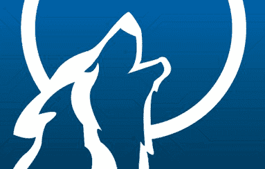 Wolf Consulting Guide to IT Services