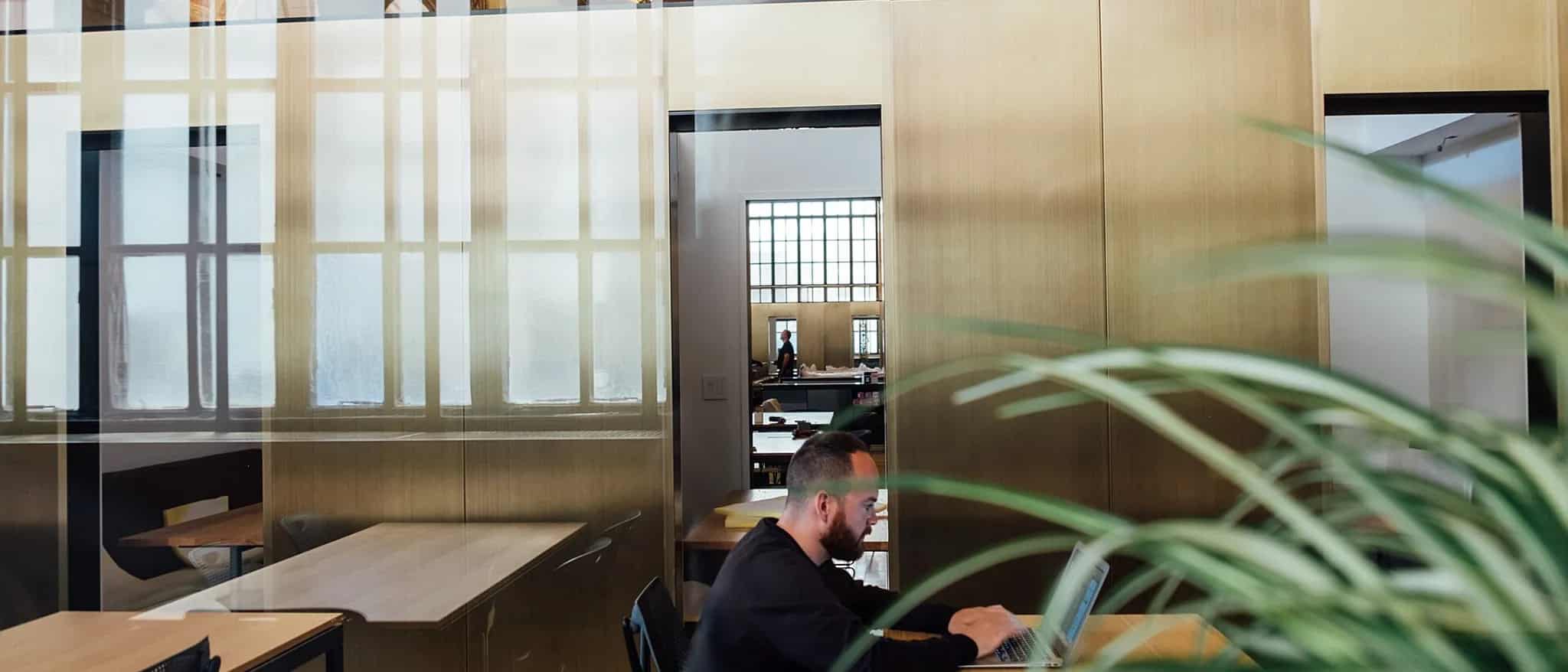 A person works on a laptop at a wooden desk in a bright, modern open-plan office with a large potted plant in the foreground.