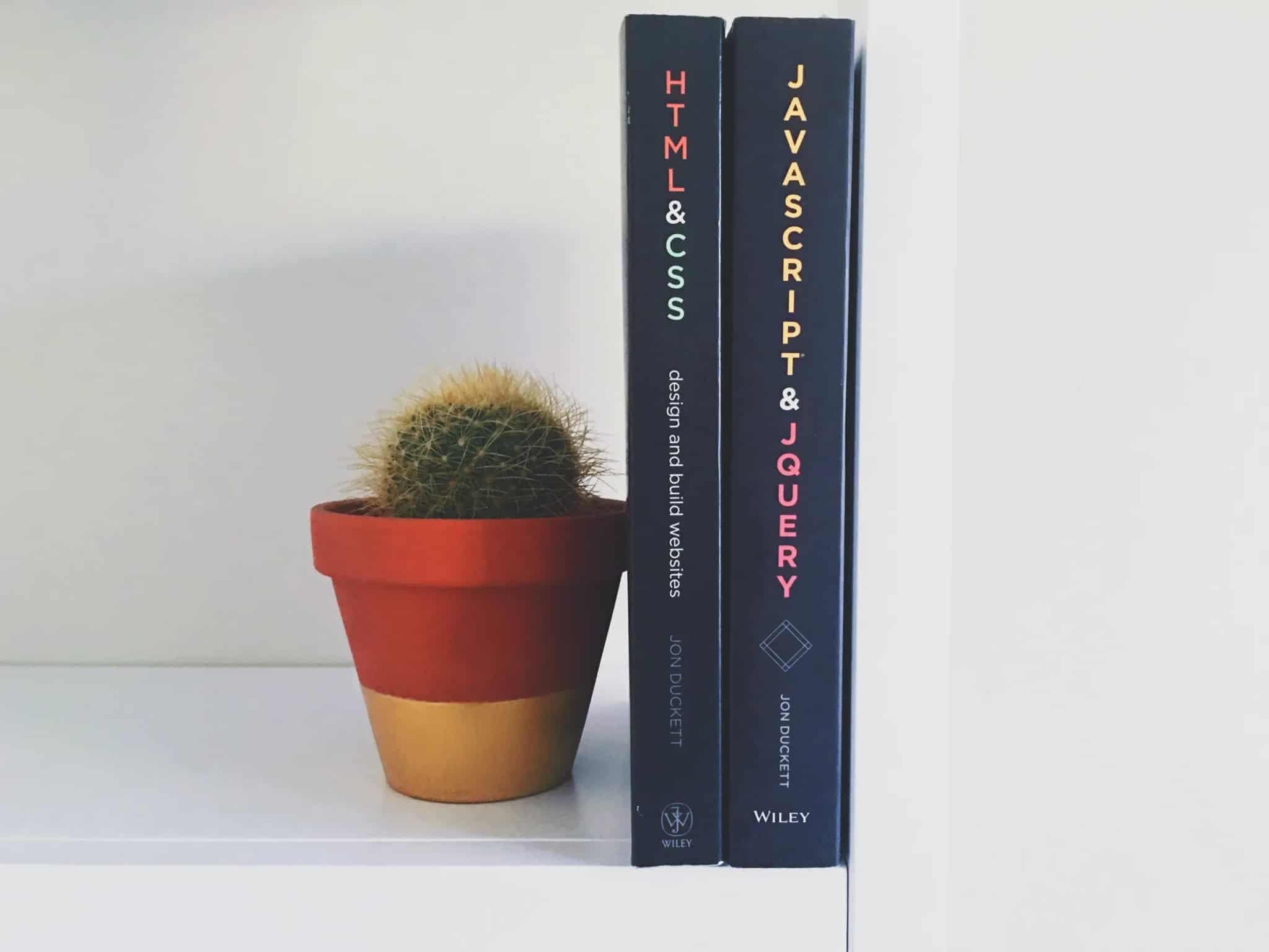 HTML and CSS and JavaScript reference books standing next to a small potted cactus on a white shelf.