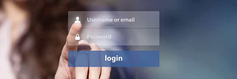 Username and password login input
