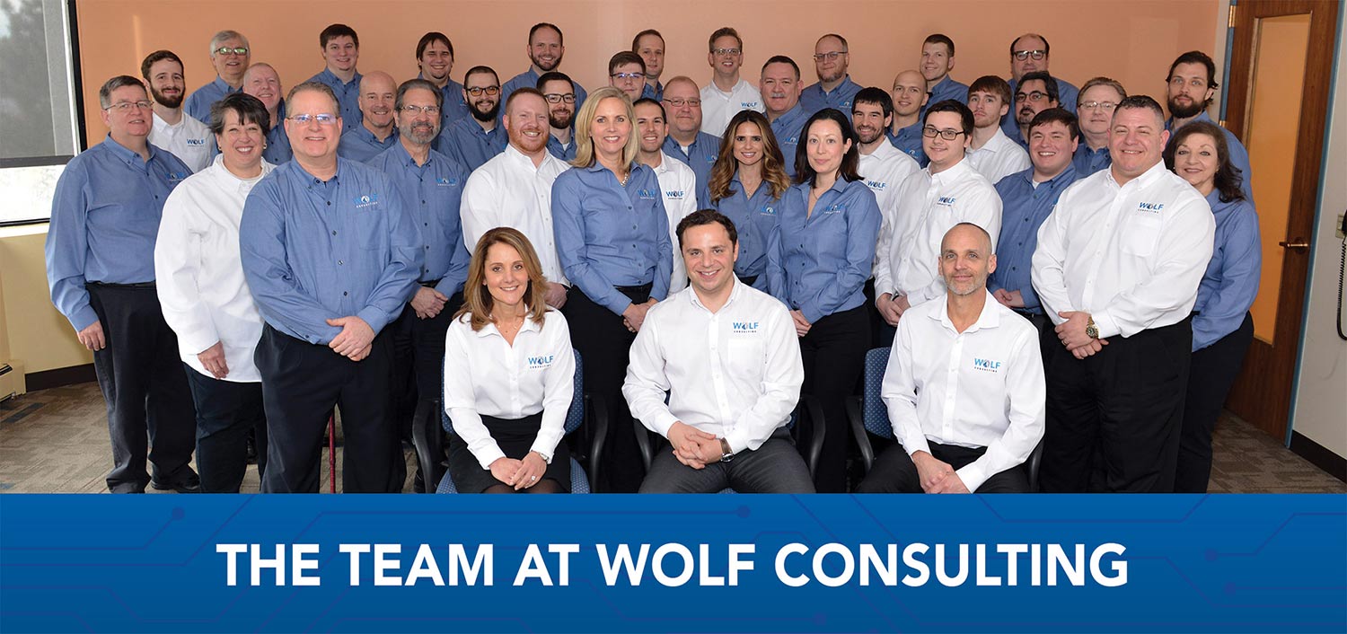 Wolf consulting IT consulting team