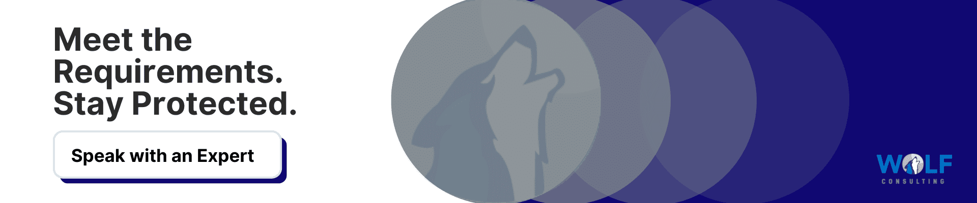 Get your Security Controls Checklist from Wolf Consulting Cybersecurity Expert