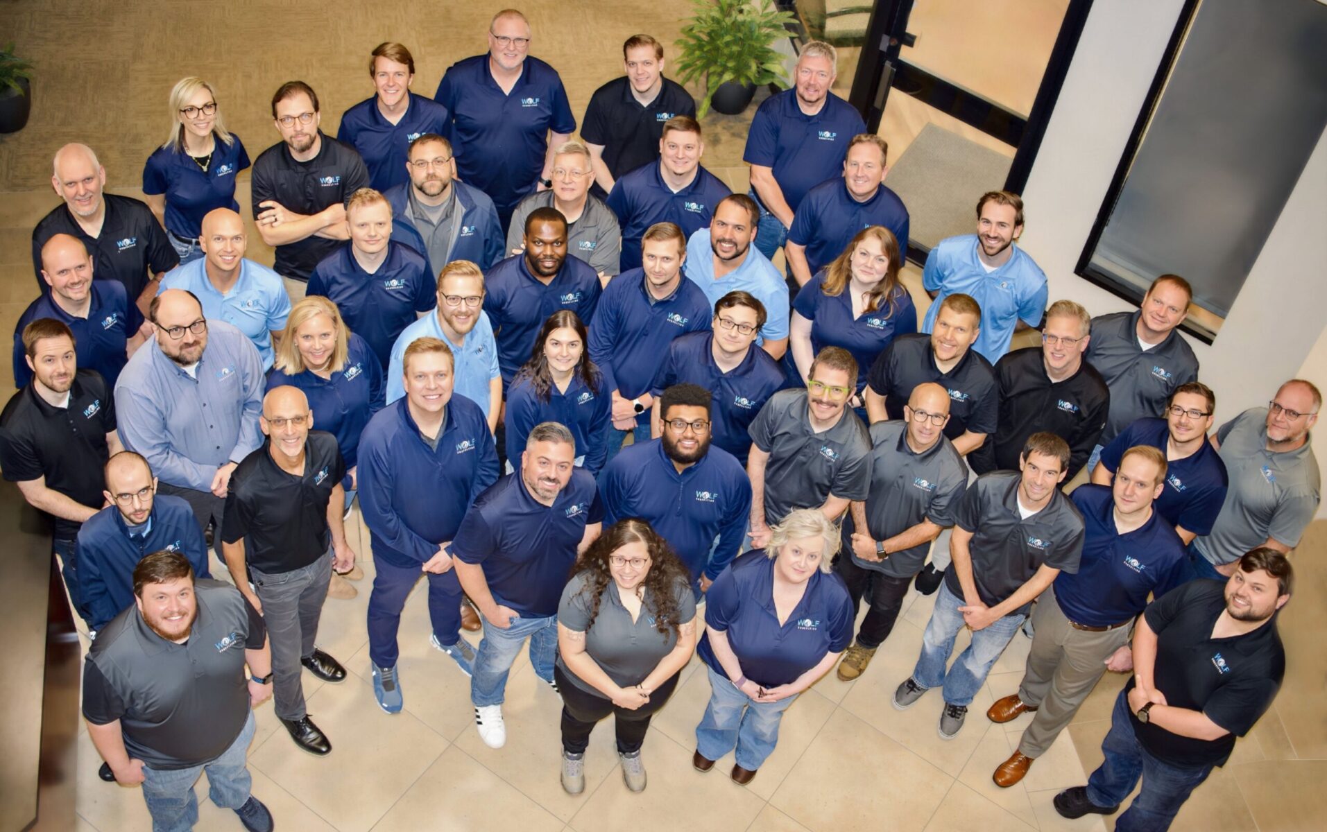 Wolf consulting IT consulting team